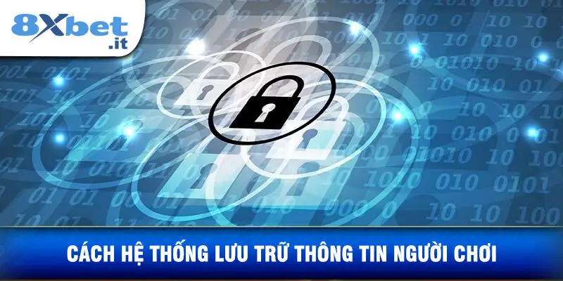 Cách Hệ Thống Lưu Trữ Thông Tin Người Chơi