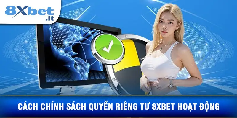 Cách Chính Sách Quyền Riêng Tư 8XBET Hoạt Động